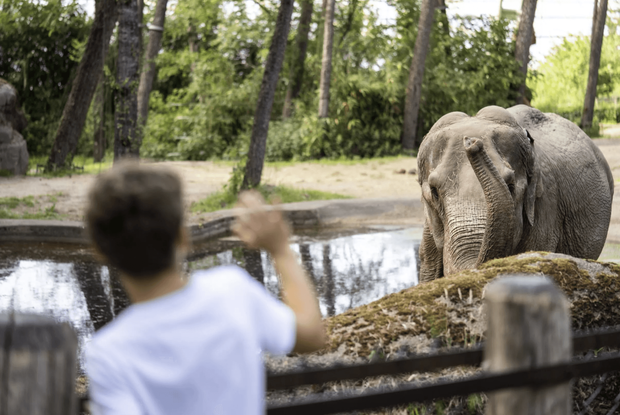 Burgers Zoo 50% vriendentickets
